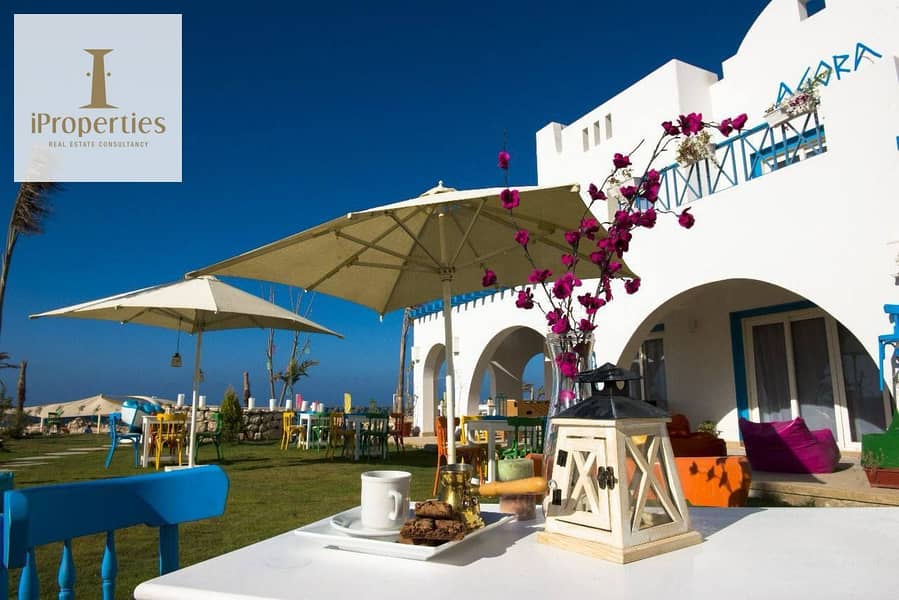 4 556555410_2295804770881218_1372067994140356536_n. jpg