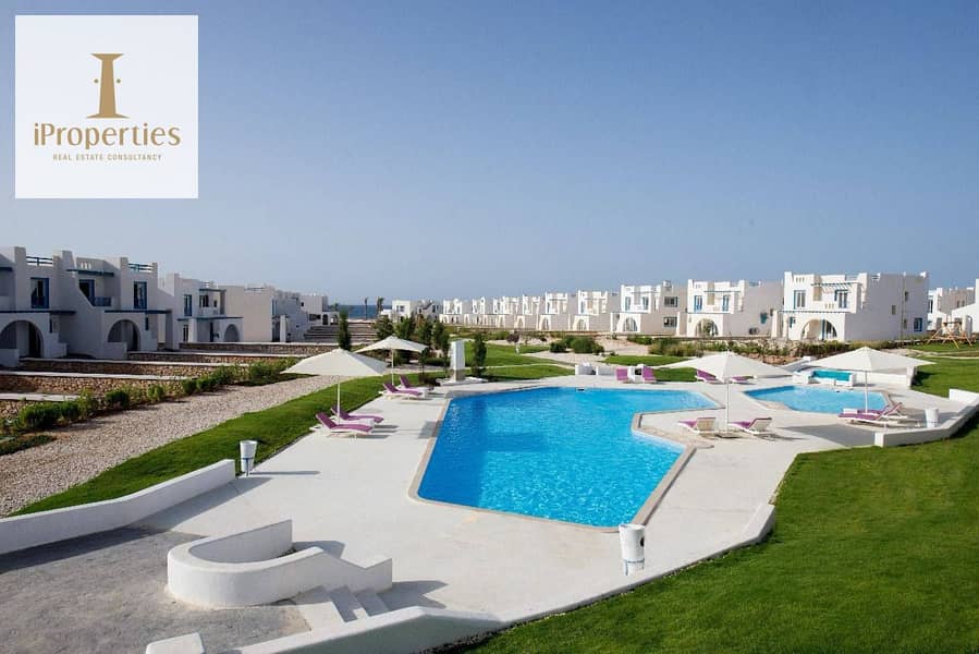 5 556635484_2295804590881236_9141706355753832024_n. jpg