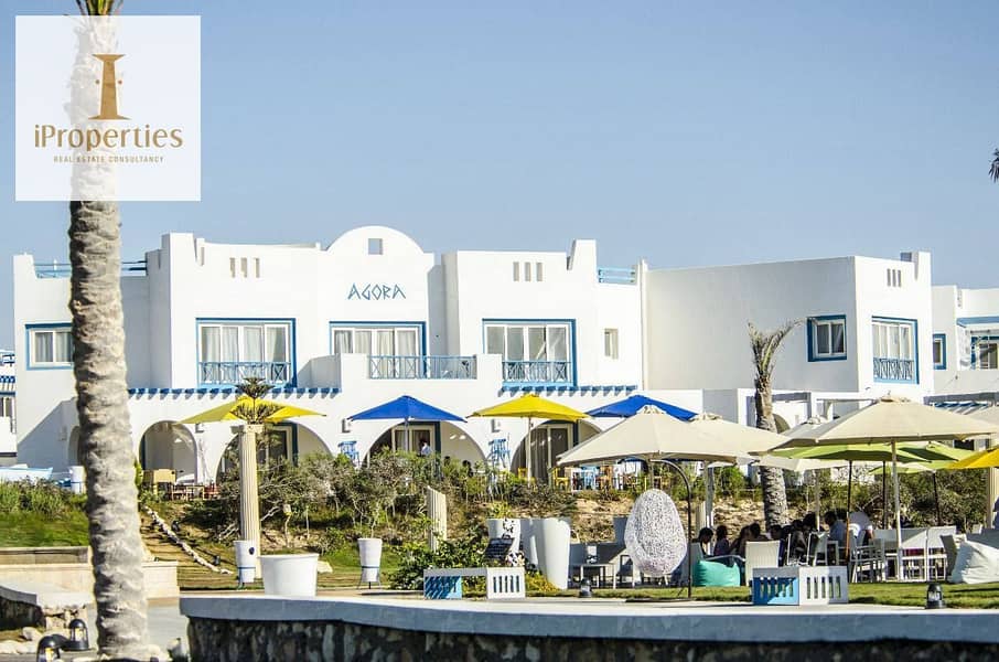 8 557047579_2295804677547894_4107673073244444869_n. jpg