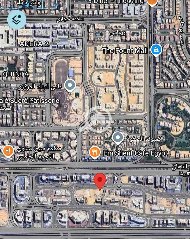 1000253981. jpg 1000253981. jpg