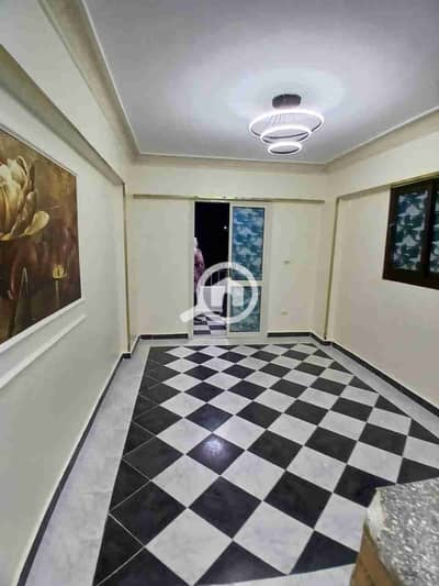 فلیٹ 1 غرفة نوم للبيع في النخيل، الإسكندرية - 1000379174. jpg