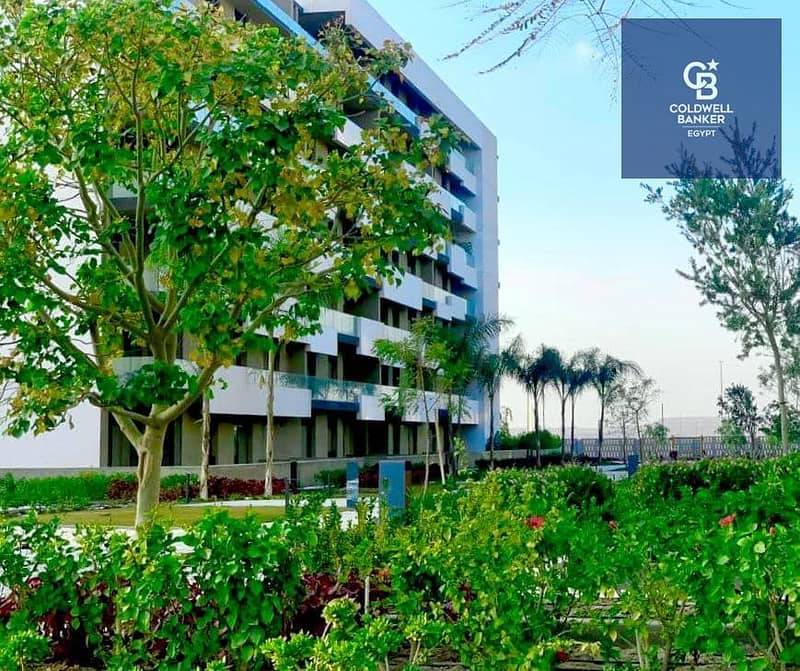 9 411510355_1031428761242878_3838444115104182012_n. jpg