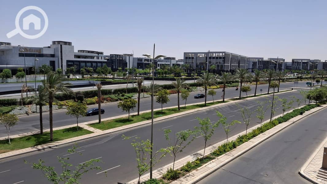 31 6a388a53-5d0a-407c-9bfe-a2e485a39a78. jpeg