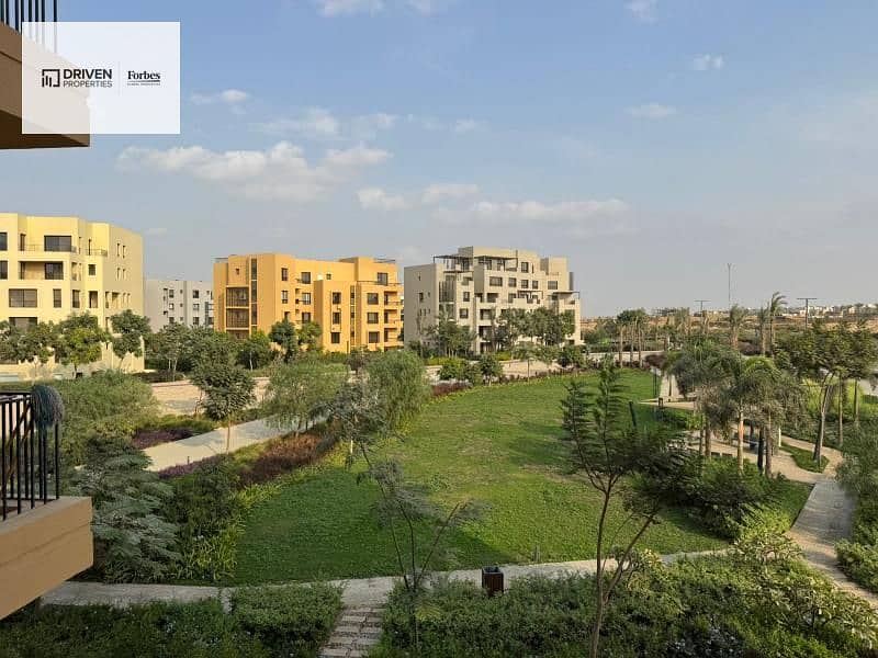 12 7648b488-64a1-4d4b-a3b0-5efe9a5d69fb. jfif. jpg