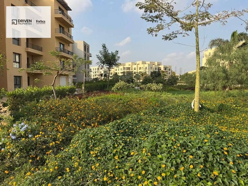 10 08eb1110-b90a-4e45-b3f6-e77d980c15a9. jfif. jpg