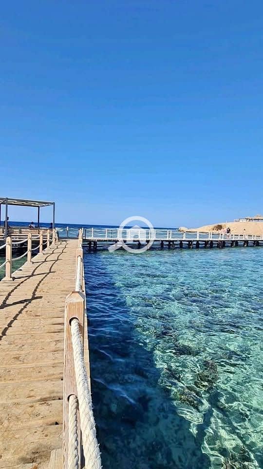 4 615933068_122131891041048691_6696402012958520673_n. jpg