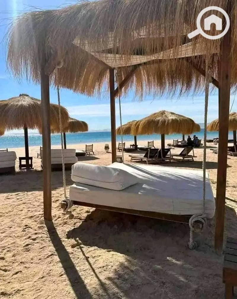 8 622216021_2276247466232331_7441301178445976083_n. jpg