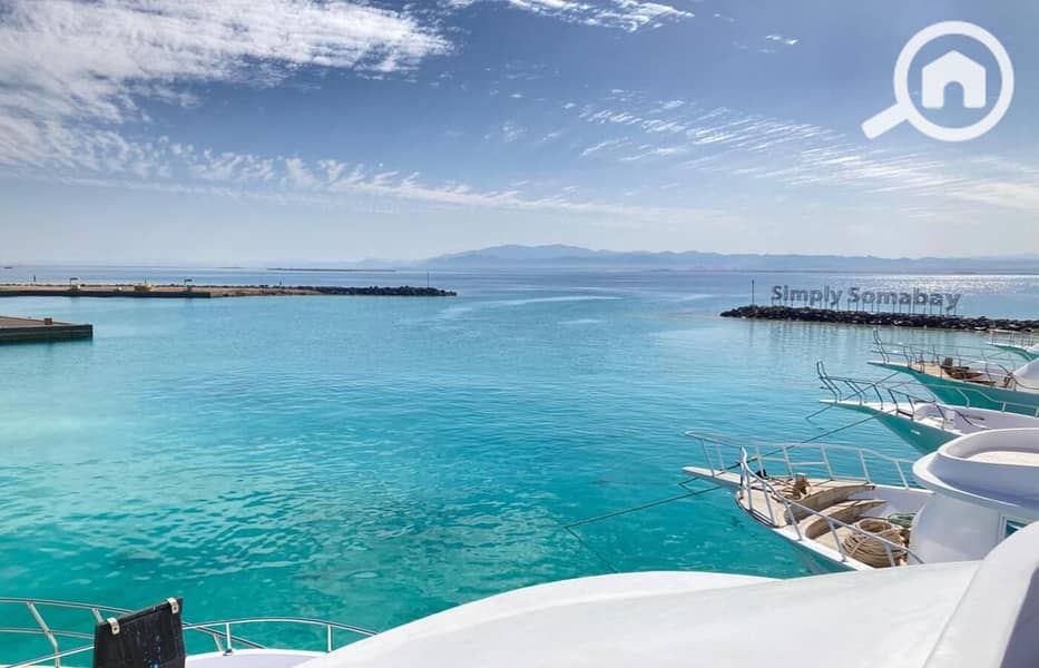 8 WhatsApp Image 2024-04-17 at 20.50. 13_ba3aaf05. jpg