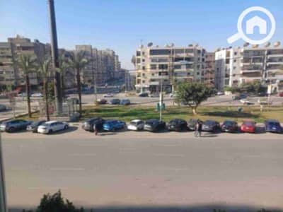 شقة 4 غرف نوم للايجار في القاهرة الجديدة، القاهرة - 67852. jpg