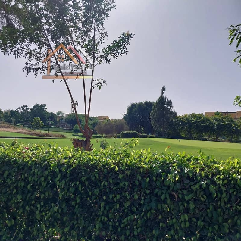 16 bcae539a-3152-4796-99a6-ef737f582ed6. jpg