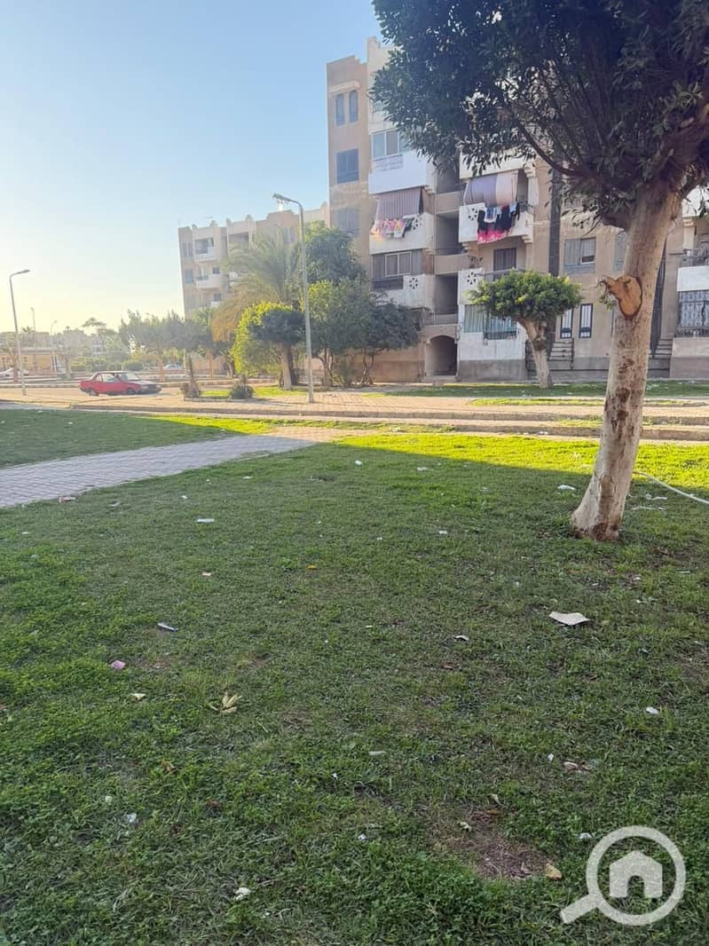 3 WhatsApp Image 2026-01-03 at 16.33. 04 (2). jpeg