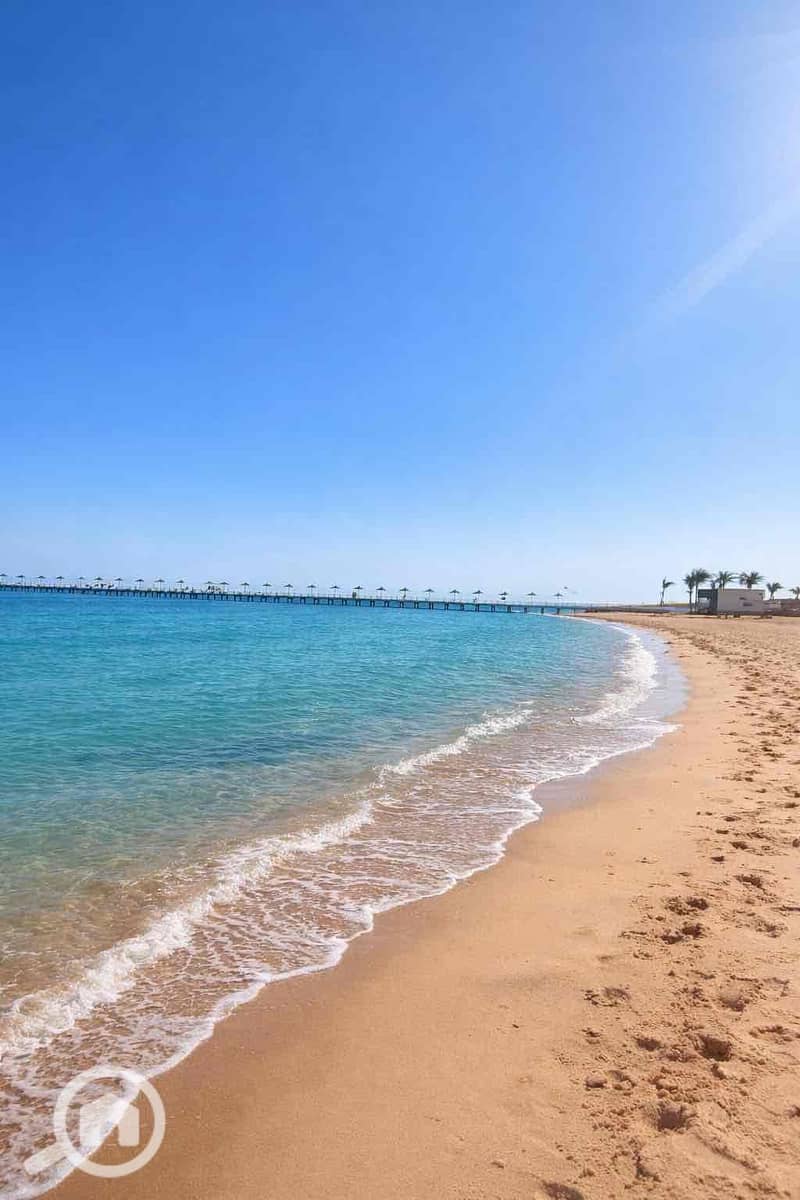 2 8033017e-d08c-4c48-a451-c9ecbdd6b9b0. jpg