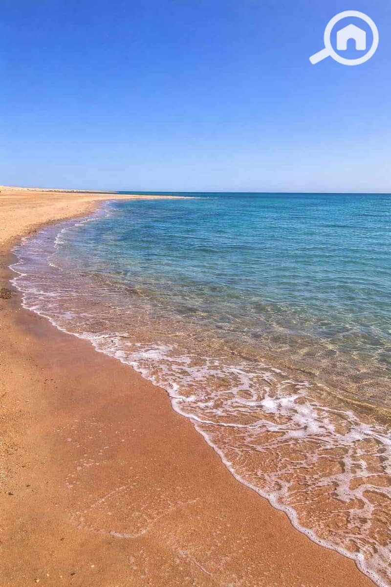 5 19949c60-369d-4b87-ab58-f749630f42f9. jpg