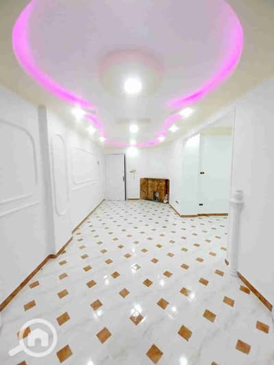 فلیٹ 2 غرفة نوم للبيع في النخيل، الإسكندرية - 1000521276. jpg