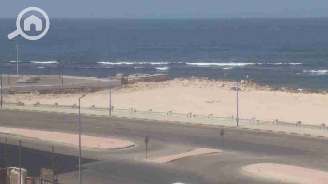 1000209245. jpg 1000209245. jpg