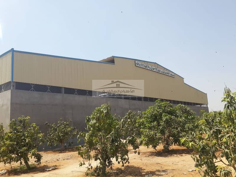 5 WhatsApp Image 2025-12-15 at 11.18. 31 AM (2). jpeg