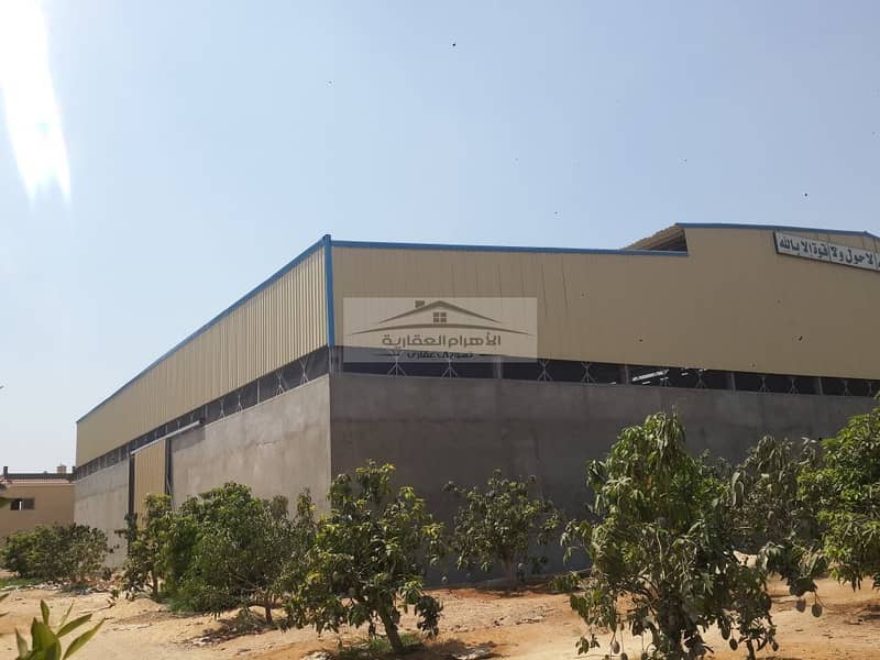 9 WhatsApp Image 2025-12-15 at 11.18. 32 AM. jpeg