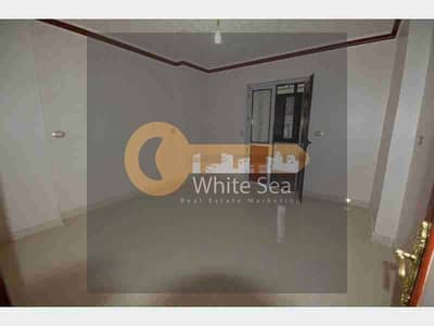 Office for Rent in San Stefano, Alexandria - 1000970283. jpg Office for Rent in San Stefano, Alexandria - 1000970283. jpg