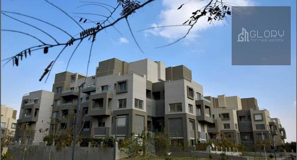 image (4). png image (4). png