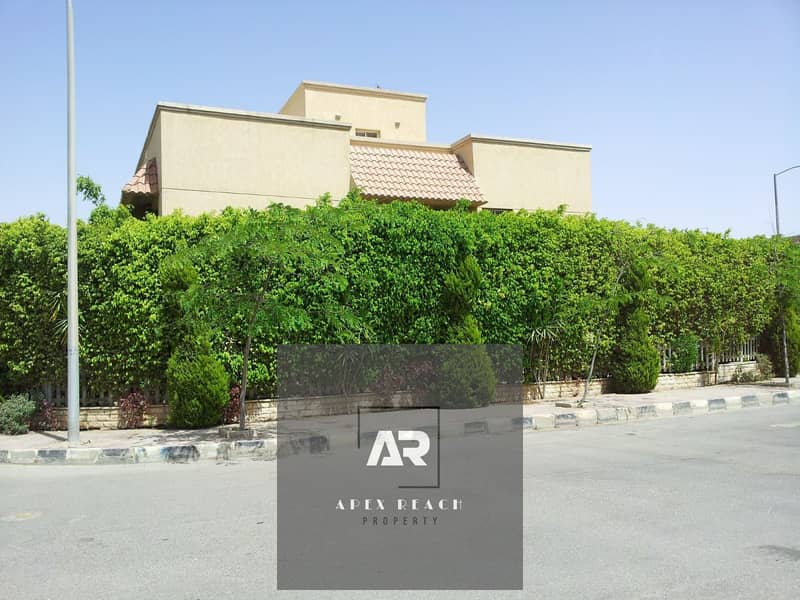 IMG-20250730-WA0131. jpg IMG-20250730-WA0131. jpg