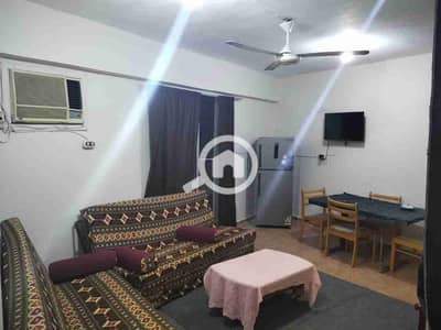 شقة 2 غرفة نوم للايجار في النخيل، الإسكندرية - 1000573753. jpg