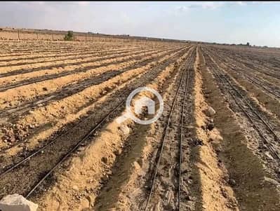 أرض تجارية  للبيع في الفيوم الجديدة، الفيوم - 1000064962. png