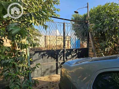 زراعي  للبيع في العاشر من رمضان، الشرقية - IMG-20241116-WA0022. jpg