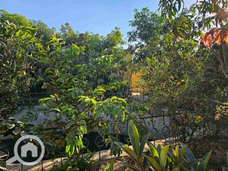 2 IMG-20241116-WA0019. jpg