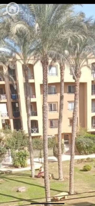 2 Bedroom Apartment for Rent in New Cairo, Cairo - IMG_0981. png
