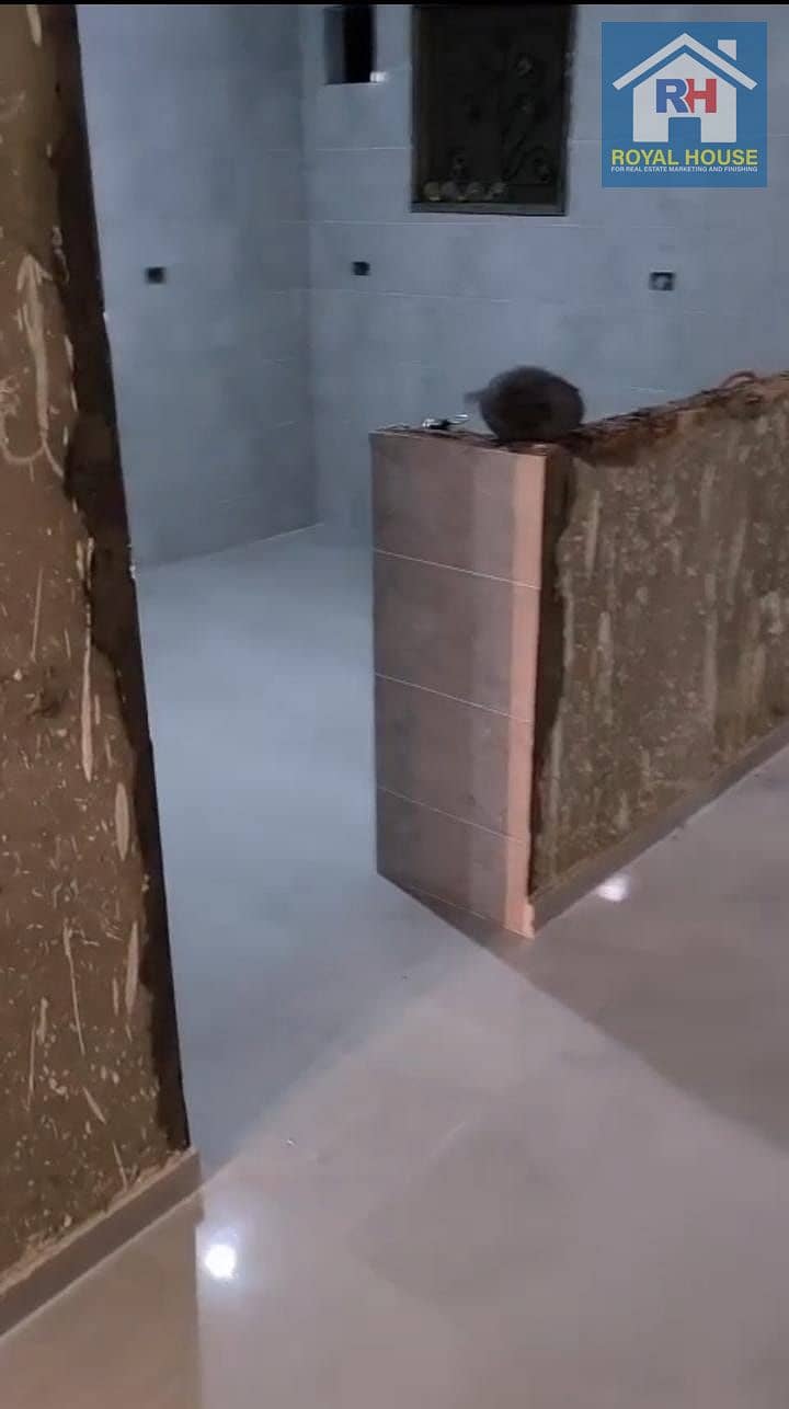 3 5cb34d76-c7d6-4e76-bdb8-fd29f6fd7ade. jpg