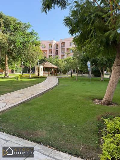 3 Bedroom Apartment for Rent in New Cairo, Cairo - WhatsApp Image 2026-01-31 at 11.20. 48 AM. jpeg