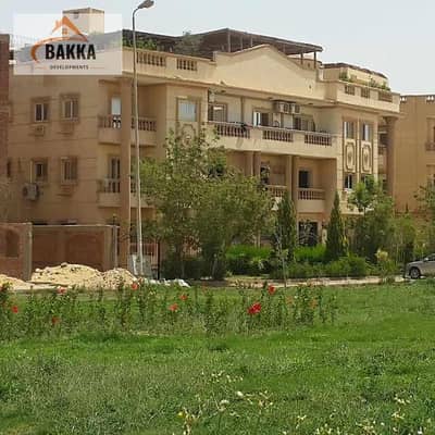 فلیٹ 3 غرف نوم للبيع في القاهرة الجديدة، القاهرة - WhatsApp Image 2025-11-20 at 4.16. 51 PM. jpeg