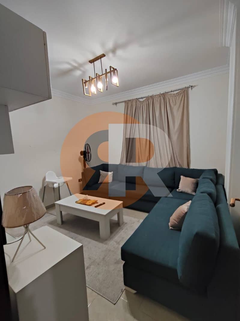 4 WhatsApp Image 2026-01-31 at 11.48. 26 AM (2). jpeg