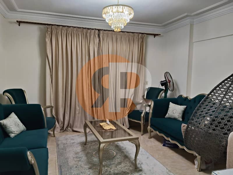 6 WhatsApp Image 2026-01-31 at 11.48. 27 AM. jpeg