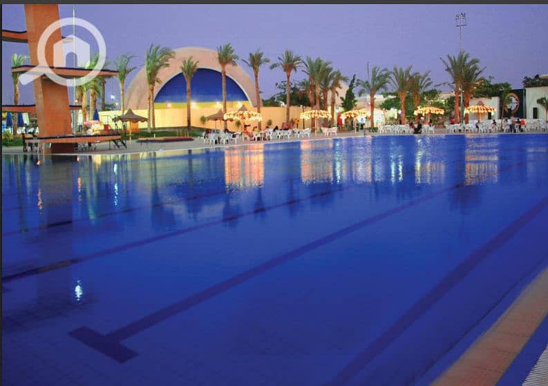 7 Screenshot 2026-01-31 115855. png