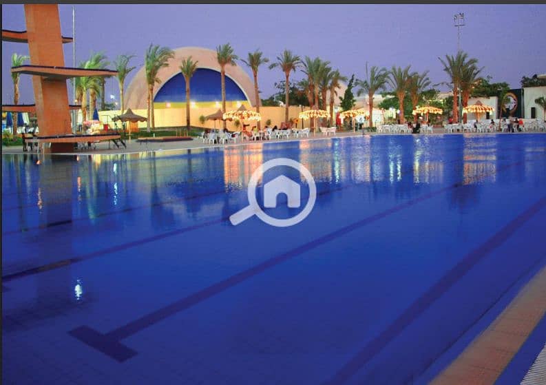 6 Screenshot 2026-01-31 115855. png