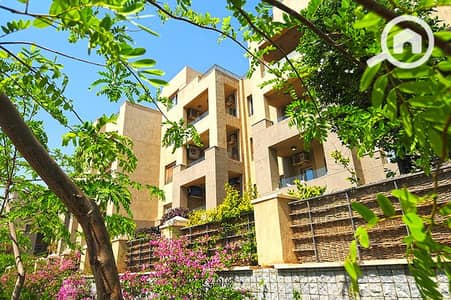 1 Bedroom Apartment for Rent in New Cairo, Cairo - 2 (1)cftyh. jpg