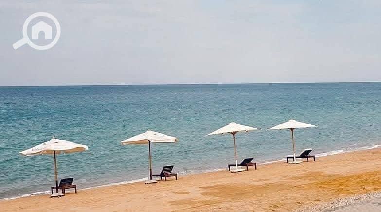 12 WhatsApp Image 2026-01-21 at 1.23. 08 PM. jpeg