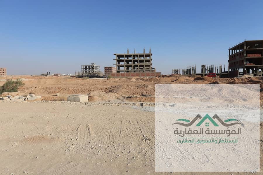 2 432432432432. jpeg