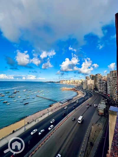 شقة 3 غرف نوم للايجار في ميامي، الإسكندرية - WhatsApp Image 2026-01-31 at 13.20. 40 (3). jpeg