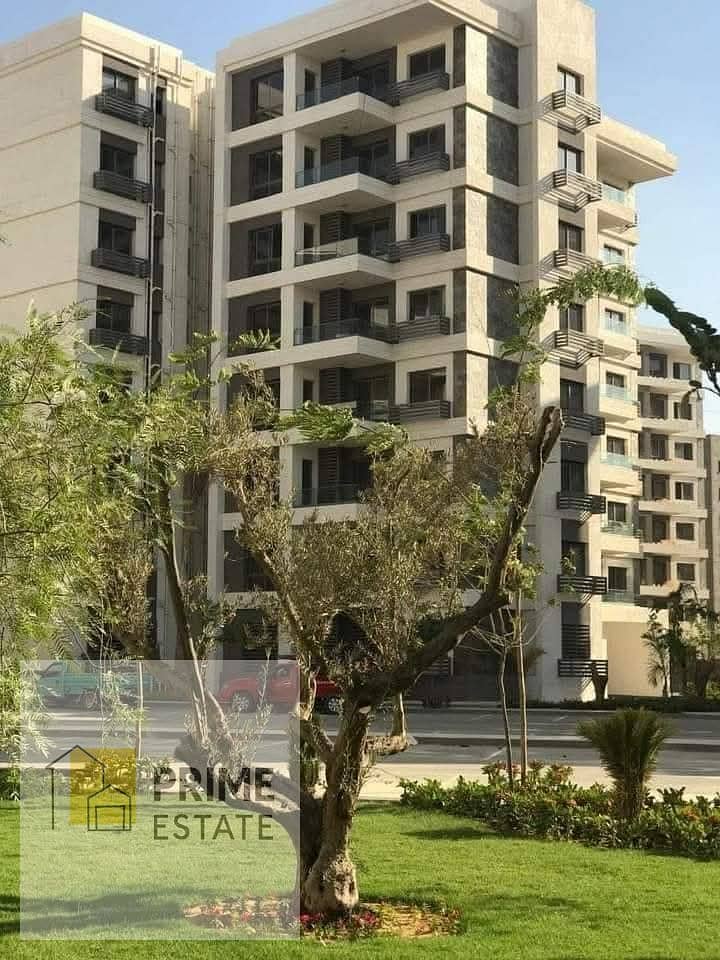 4 WhatsApp Image 2025-06-17 at 5.17. 00 PM (2). jpeg