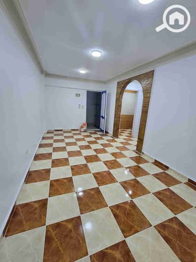 فلیٹ 2 غرفة نوم للبيع في النخيل، الإسكندرية - 1000450149. jpg