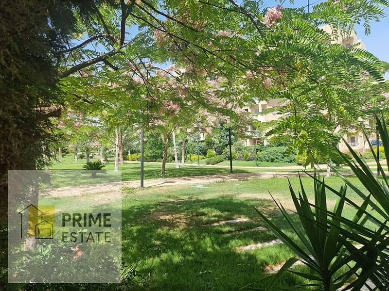 6 WhatsApp Image 2026-01-31 at 2.03. 39 PM. jpeg