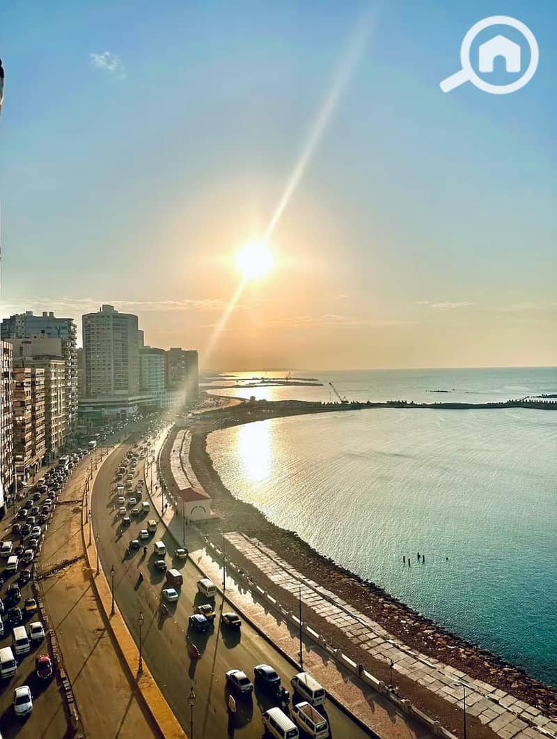 13 WhatsApp Image 2026-01-31 at 13.41. 51. jpeg