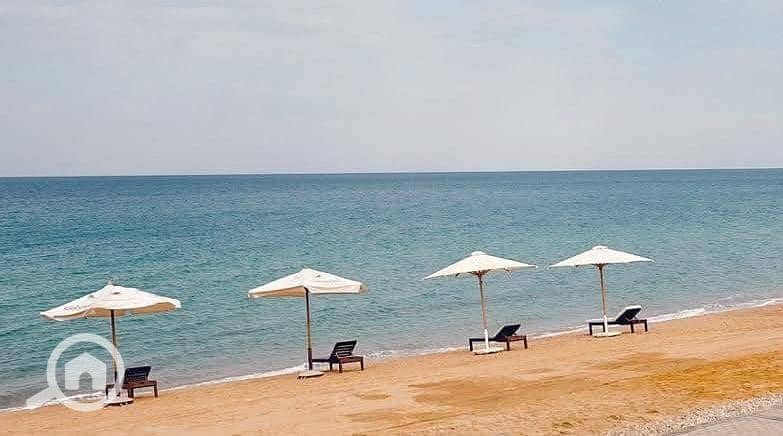 5 WhatsApp Image 2026-01-21 at 1.23. 08 PM. jpeg