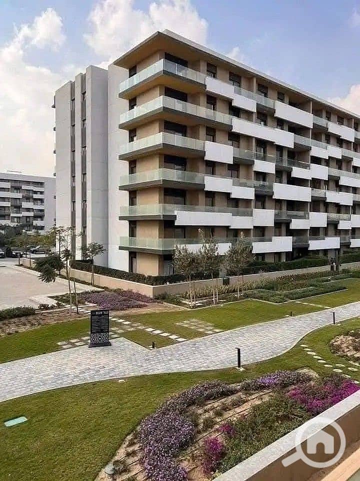 3 30776366-800x600. jpg