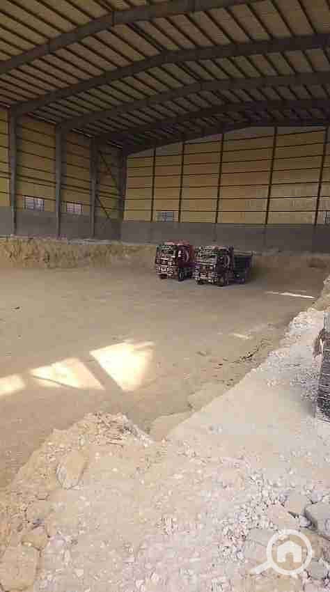 1000745799. jpg 1000745799. jpg