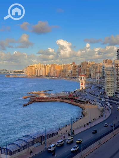 شقة 3 غرف نوم للايجار في ميامي، الإسكندرية - WhatsApp Image 2026-01-31 at 14.16. 19 (2). jpeg