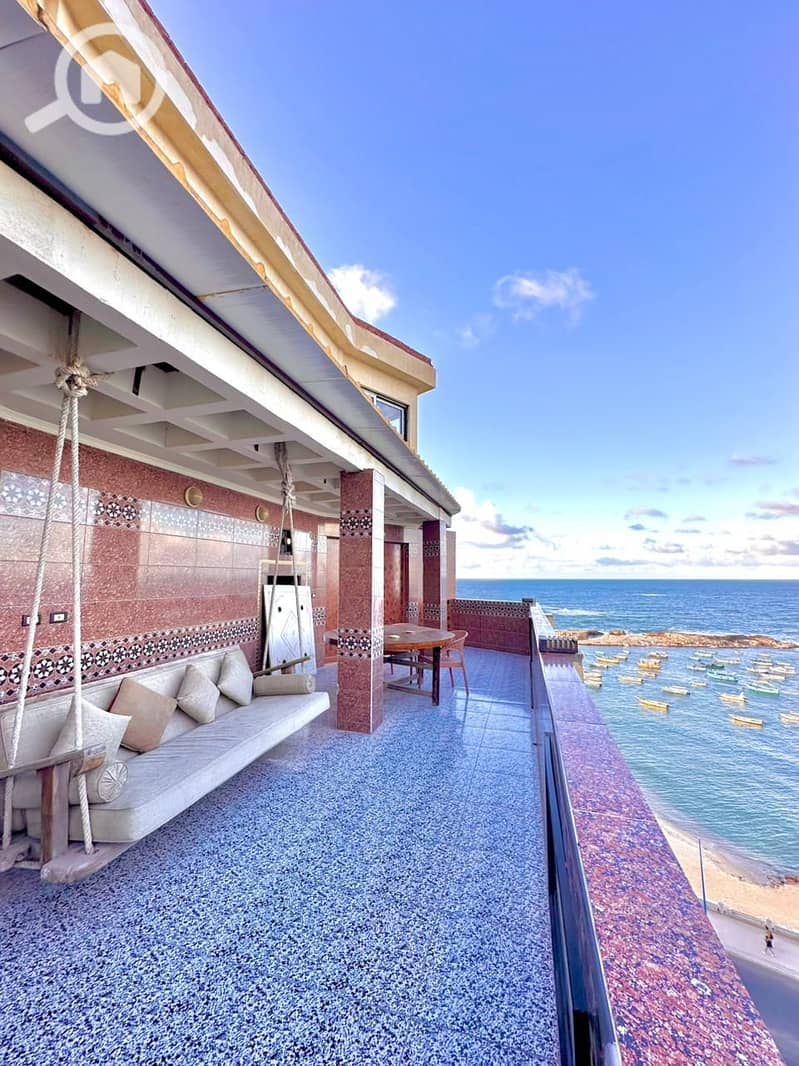 3 WhatsApp Image 2026-01-31 at 14.16. 19 (1). jpeg