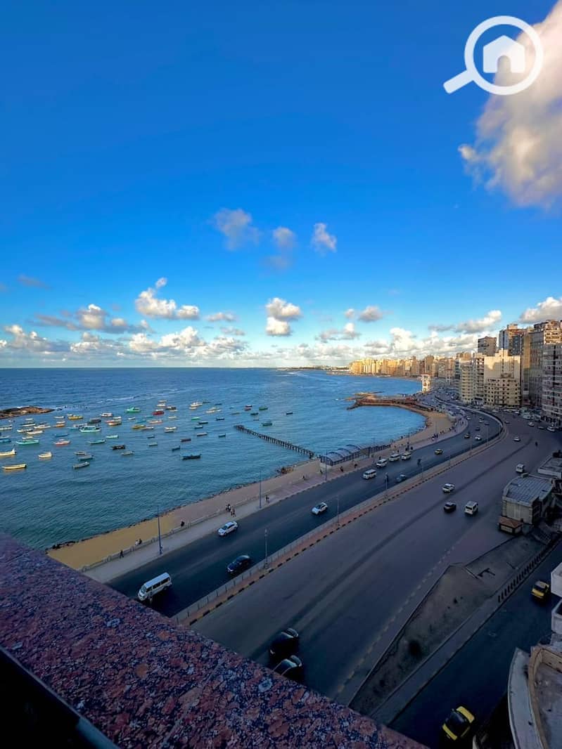 5 WhatsApp Image 2026-01-31 at 14.16. 22. jpeg